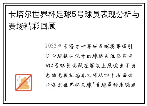 卡塔尔世界杯足球5号球员表现分析与赛场精彩回顾