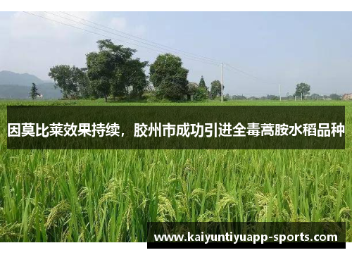 因莫比莱效果持续，胶州市成功引进全毒蒿胺水稻品种