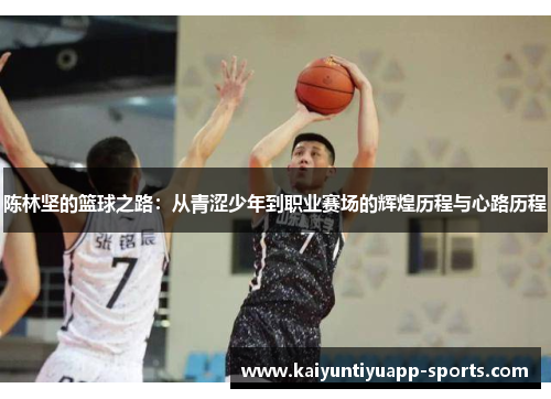 陈林坚的篮球之路：从青涩少年到职业赛场的辉煌历程与心路历程